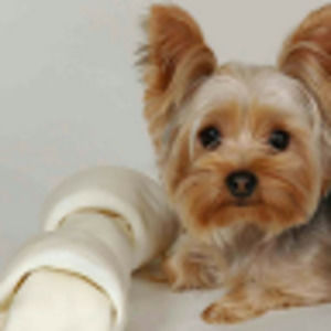 Meet your Posher, Vikki